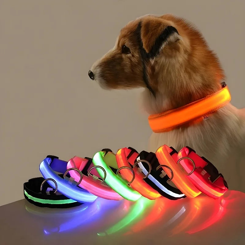 Dog Collar Nylon LED Night Safety - Glow in the Dark